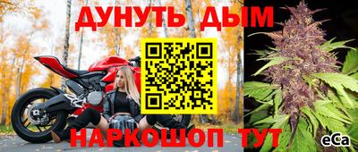 сатива Донской