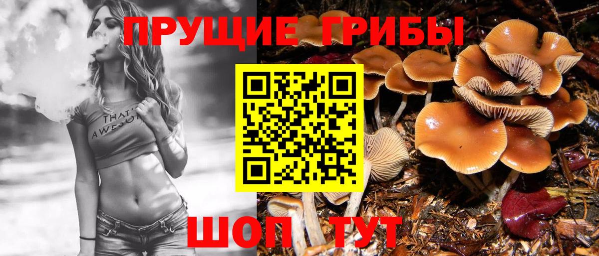 Мариинск  Псилоцибиновые грибы ЛСД  Вход с VPN 