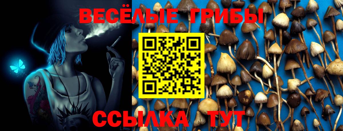 Псилоцибиновые грибы Psilocybine cubensis Мариинск